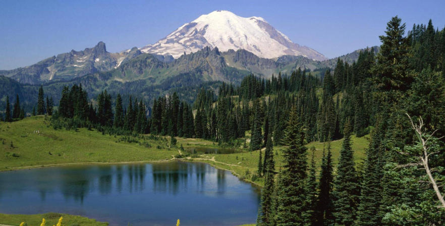 上川岛好茶有限公司轮播图2