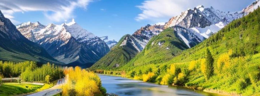 上川岛好茶有限公司轮播图4